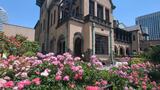 KIOI ROSE GARDEN