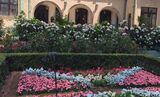 KIOI ROSE GARDEN