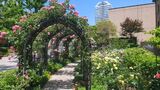 KIOI ROSE GARDEN