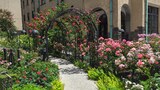KIOI ROSE GARDEN