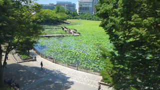 PHOTO したまちミュージアム#4