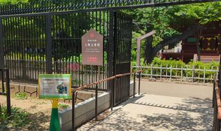 PHOTO 旧寛永寺五重塔#3