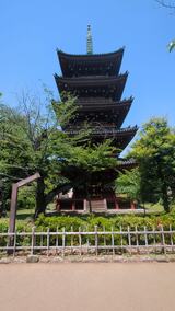 旧寛永寺五重塔