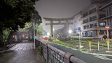 鶴岡八幡宮
