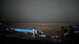 由比ガ浜・材木座海岸