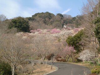 PHOTO 金沢自然公園#2