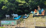 横浜市立金沢動物園