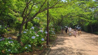 PHOTO 八景島#5