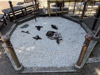 PHOTO 沼袋氷川神社#2