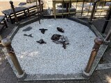沼袋氷川神社