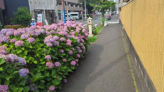 PHOTO お三の宮日枝神社#2