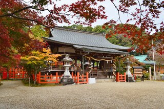 PHOTO 龍田大社#1