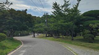 PHOTO 津偕楽公園#1