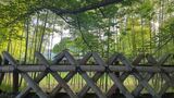 豊国神社・中村公園