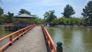 PHOTO 桑名城跡#1