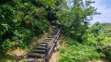 山田富士