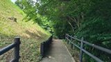 山田富士