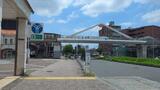山田富士