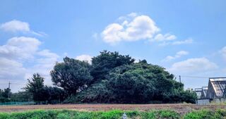 PHOTO 池辺富士#1