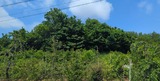 池辺富士