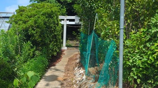 PHOTO 池辺富士#2