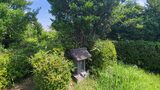 池辺富士