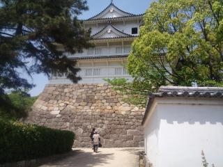 PHOTO 福山城#3