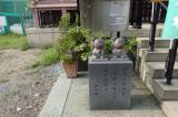 隅田公園
