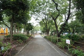 PHOTO 隅田公園#4