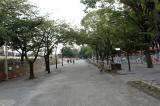 隅田公園