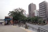 隅田公園