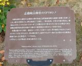 萩城跡(指月公園)