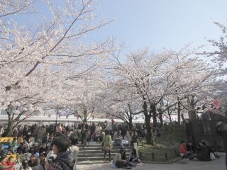 PHOTO 隅田公園#3