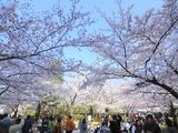隅田公園