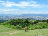 若草山山頂展望台