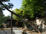 龍光院・密庵