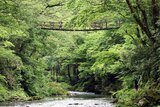 福井のかずら橋