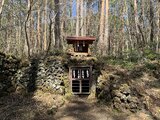 吉田胎内樹型