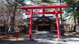 船津胎内樹型