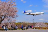 成田市さくらの山
