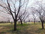 青葉の森公園
