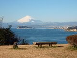 大崎公園