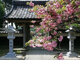 藤基神社