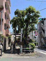 縁切榎