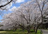 大庭城址公園
