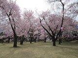 春日城址公園