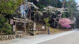 大塚丘