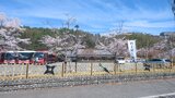 忍野しのびの里