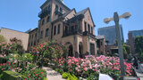KIOI ROSE GARDEN