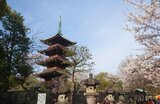 旧寛永寺五重塔